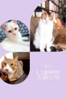 /album/%e5%ae%9c%e8%98%ad%e5%9f%b9%e8%a8%93%e9%9a%8a%e2%98%85%e5%ae%9c%e8%98%ad%e6%8b%9b%e5%be%85%e6%89%80-yi-lan-cycling-team/a65551307-2388979761333691-8168089406767366144-n-jpg/